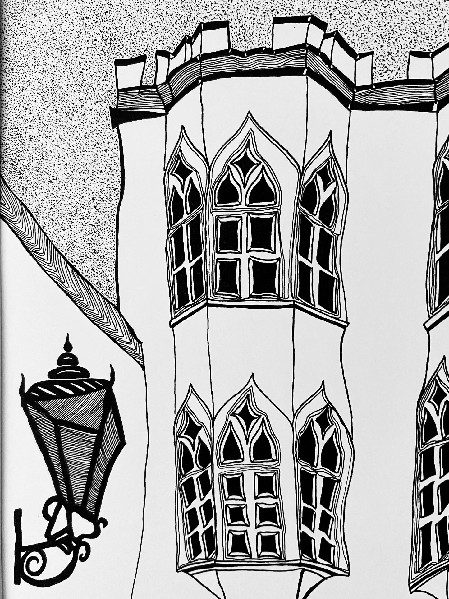 Totnes Gothic House