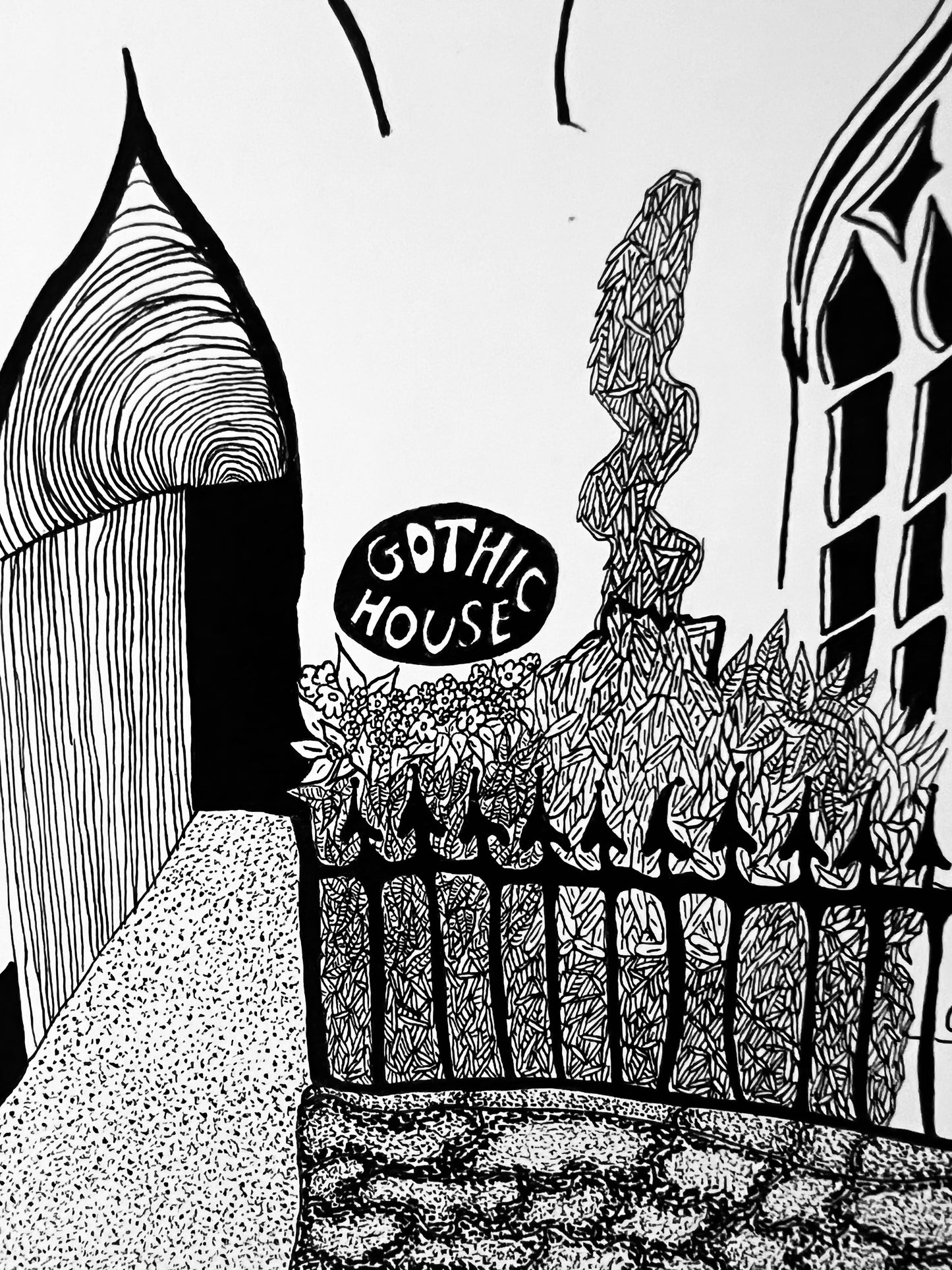 Totnes Gothic House